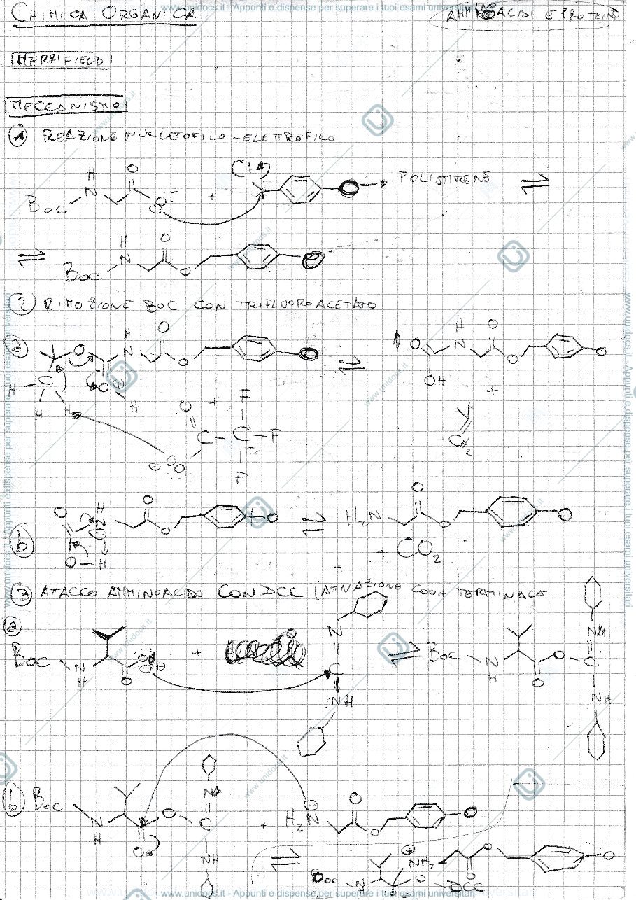 Anteprima pagina 1 — Amminoacidi e proteine