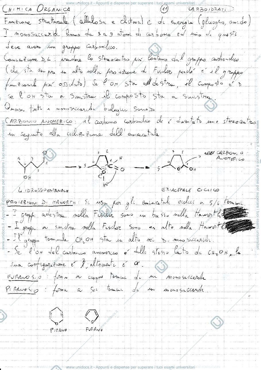 Anteprima pagina 1 — Carboidrati