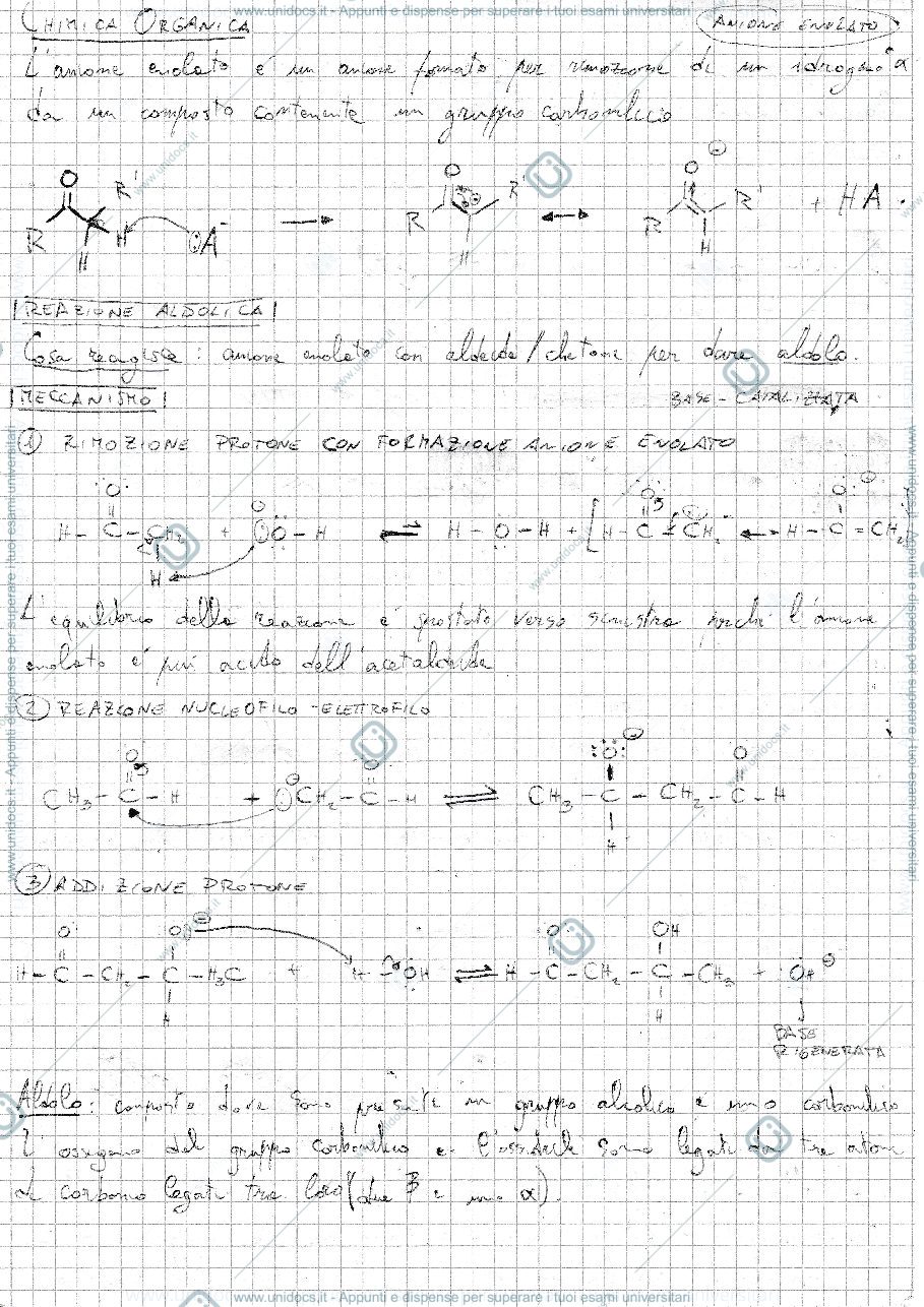 Anteprima pagina 1 — Anione enolato