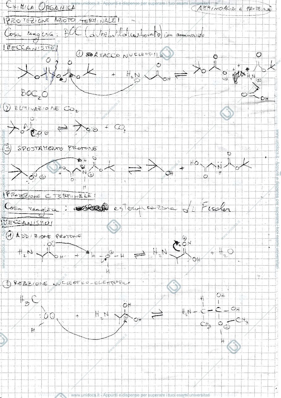 Anteprima pagina 1 — Amminoacidi e proteine