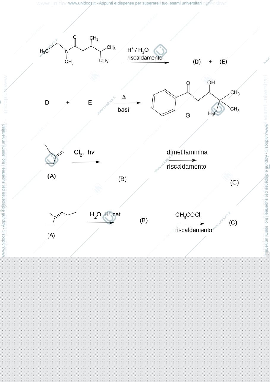 Anteprima pagina 2 — esami organica