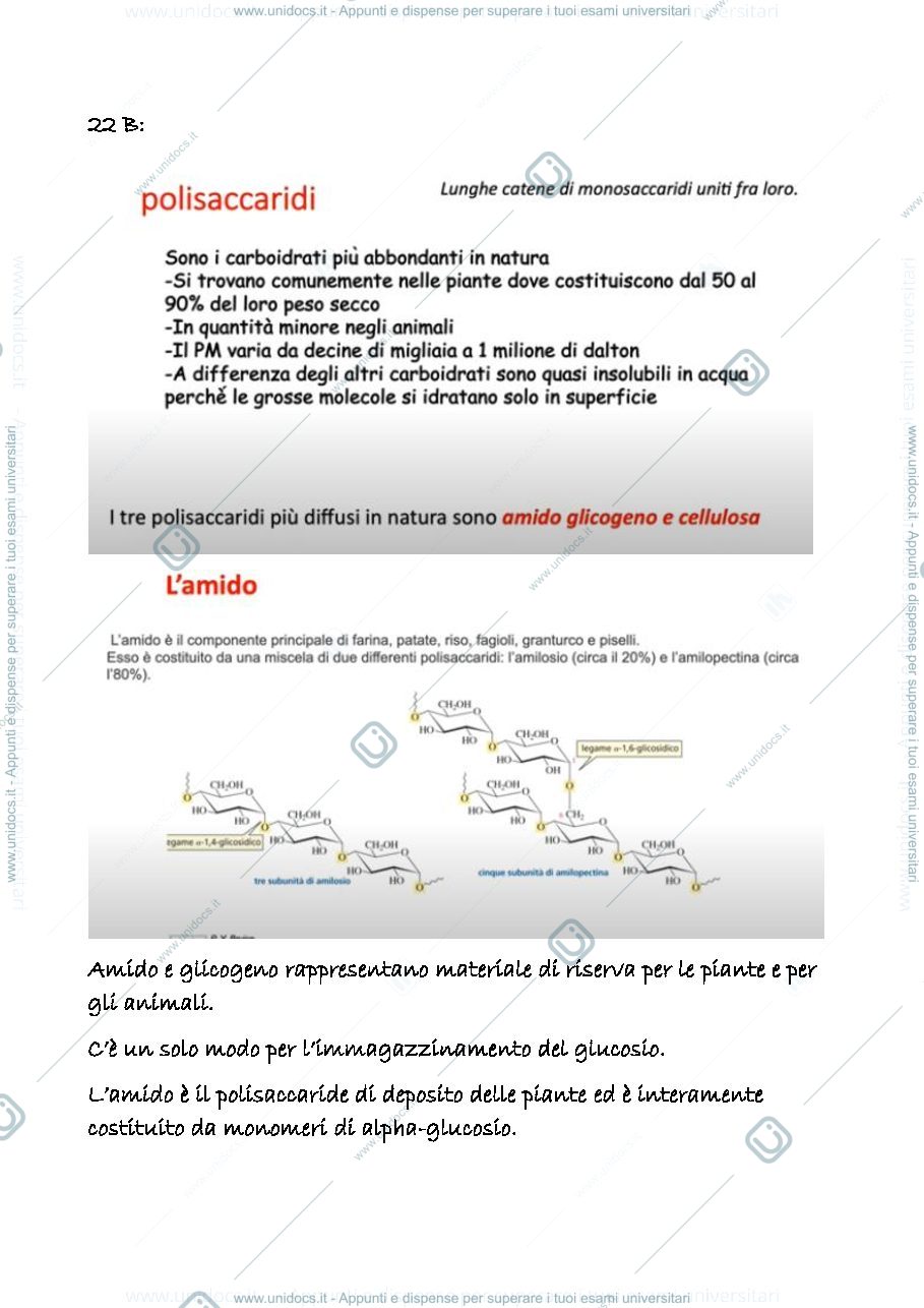 Anteprima pagina 1 — 22 b