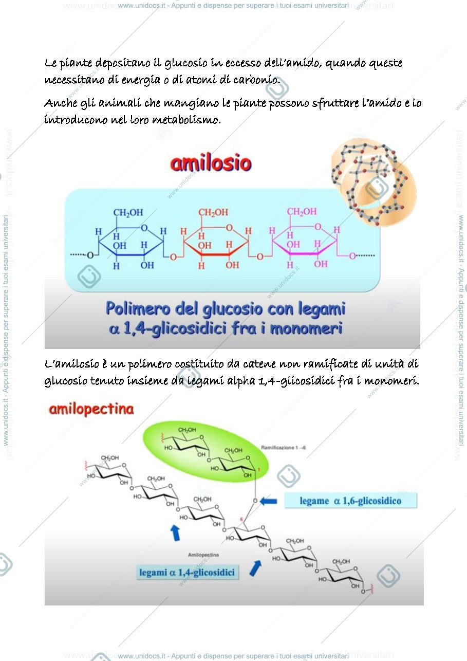 Anteprima pagina 2 — 22 b