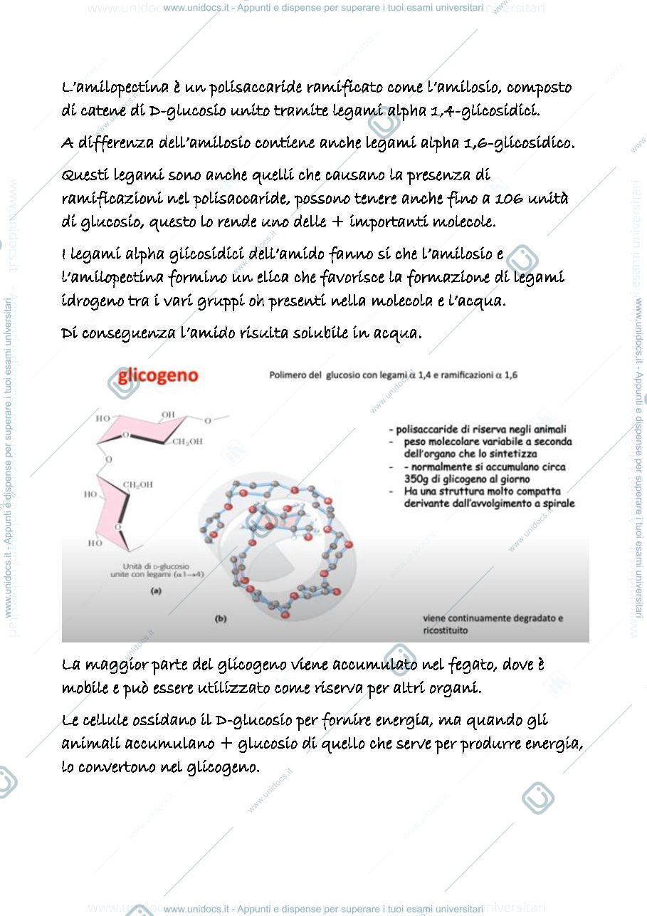 Anteprima pagina 3 — 22 b