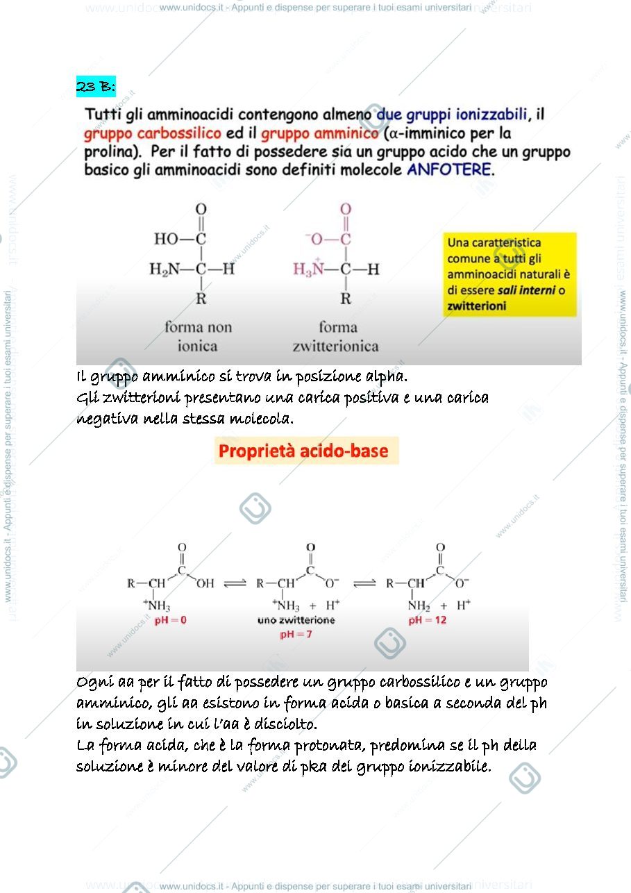 Anteprima pagina 1 — 23 b