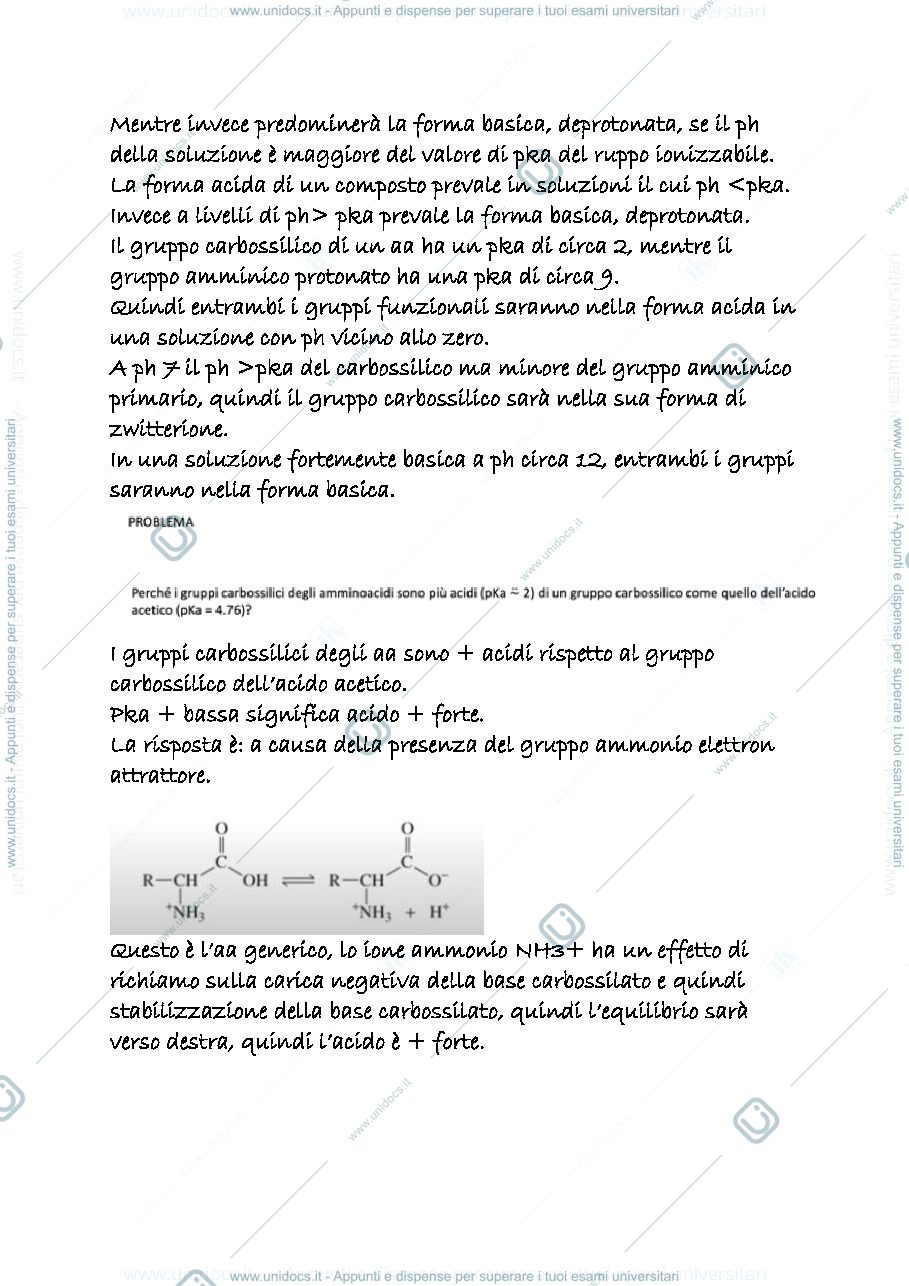 Anteprima pagina 2 — 23 b