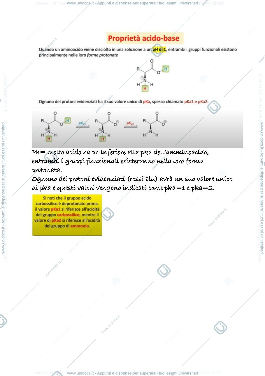 Anteprima pagina 3 — 23 b