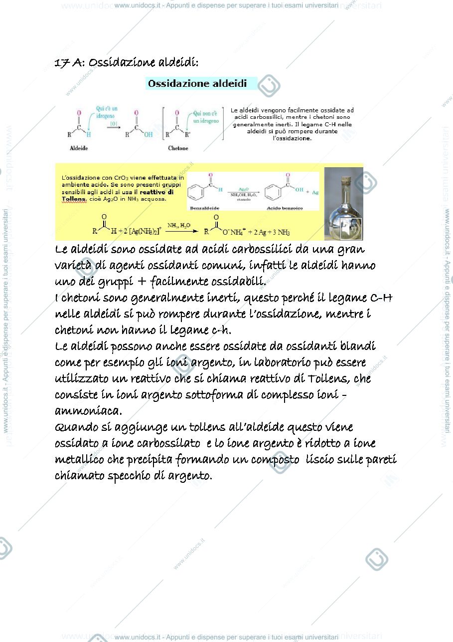 Anteprima pagina 1 — 17 a