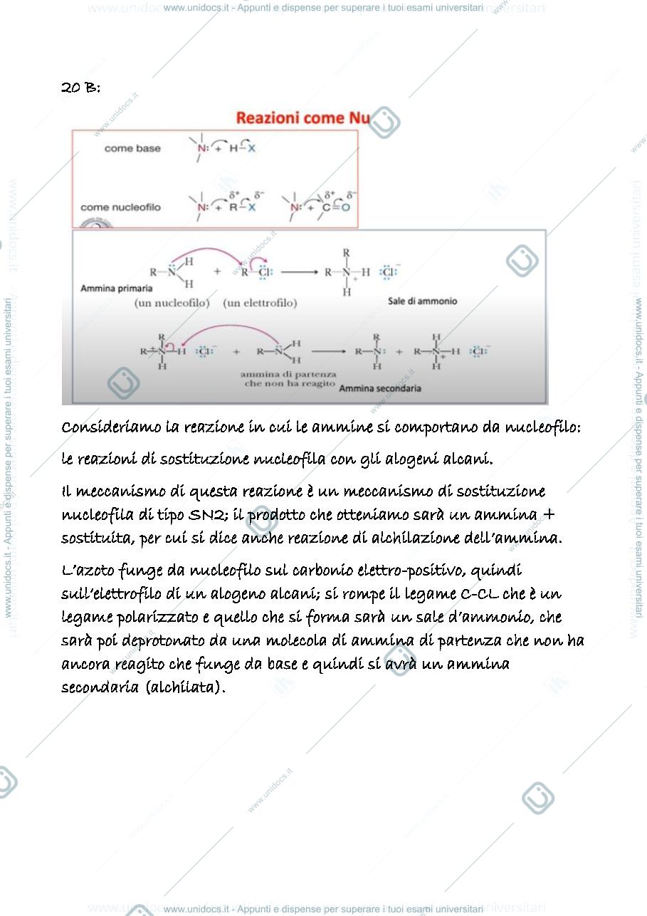 Anteprima pagina 1 — 20 b