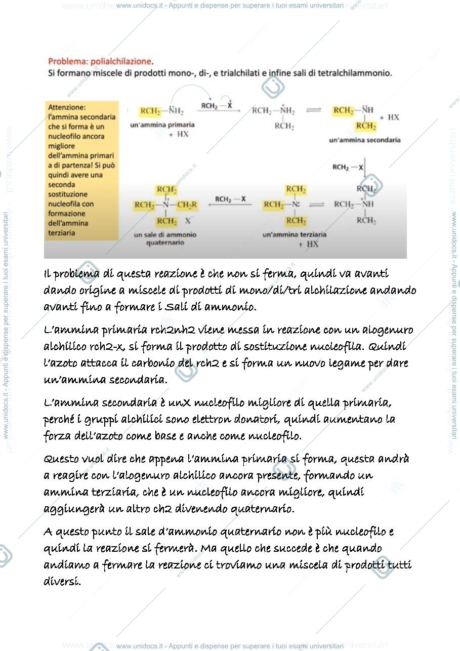 Anteprima pagina 2 — 20 b