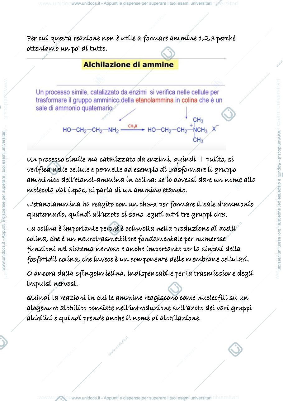 Anteprima pagina 3 — 20 b