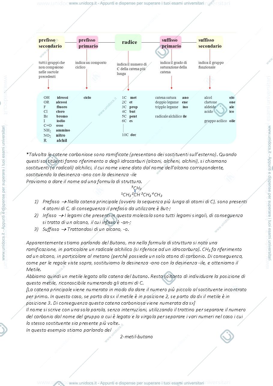 Anteprima pagina 3 — Chimica organica
