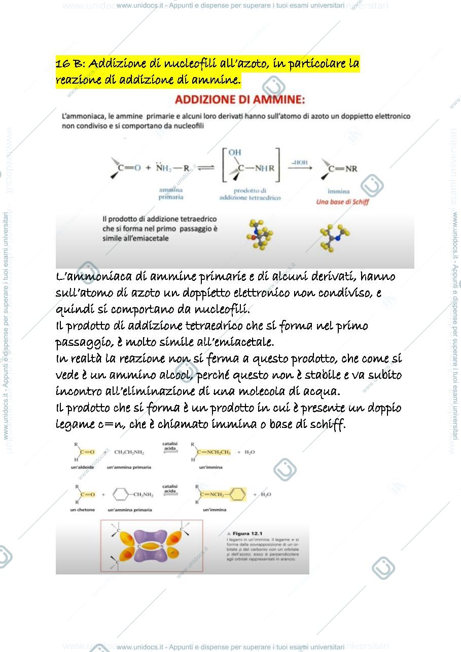 Anteprima pagina 1 — 16 b