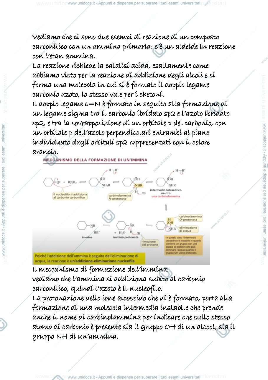 Anteprima pagina 2 — 16 b