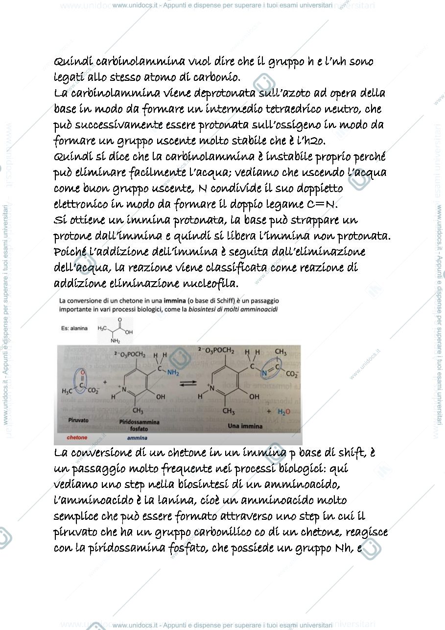Anteprima pagina 3 — 16 b