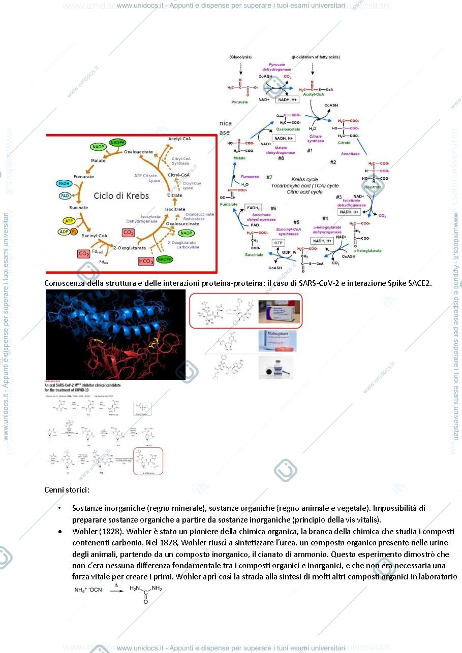 Anteprima pagina 3 — Chimica Organica 