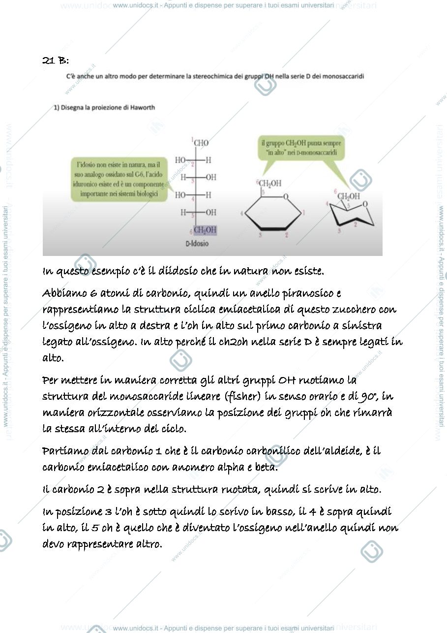 Anteprima pagina 1 — 21 b