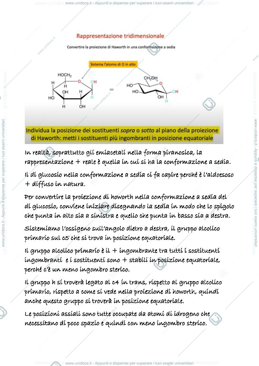 Anteprima pagina 2 — 21 b