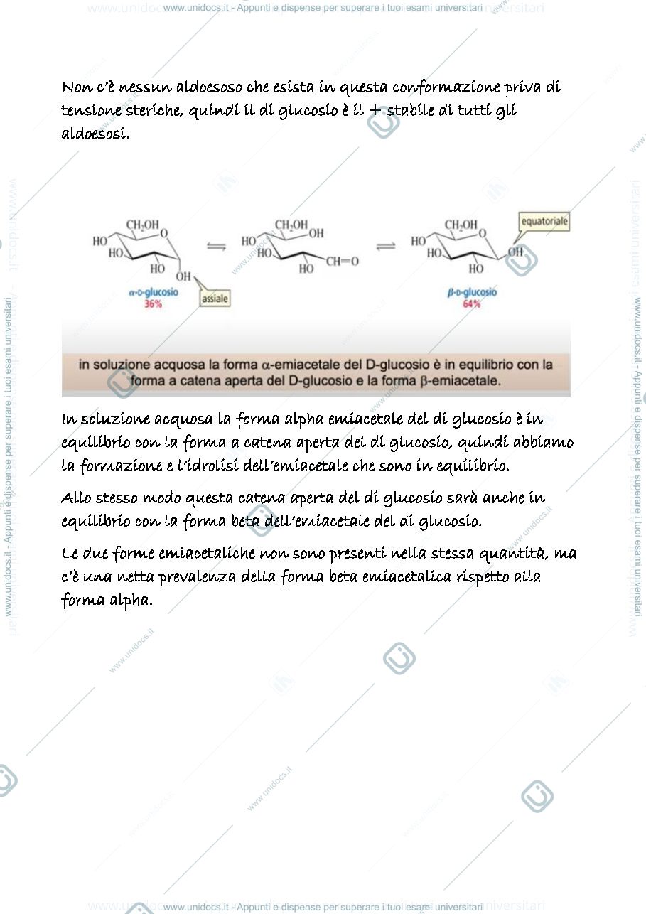 Anteprima pagina 3 — 21 b