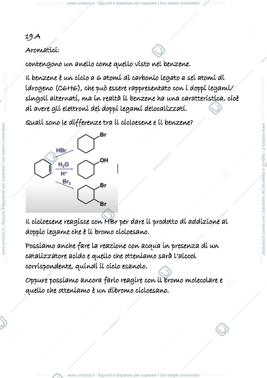 Anteprima pagina 1 — 19 a