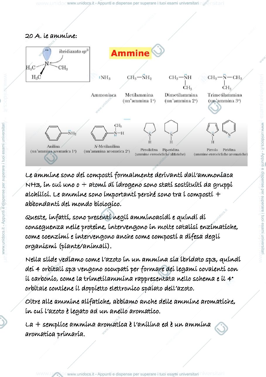 Anteprima pagina 1 — 20 a