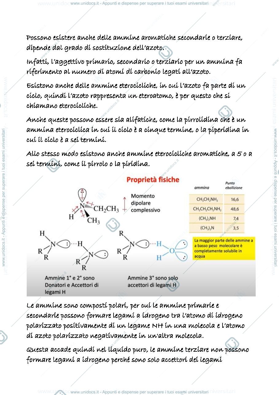 Anteprima pagina 2 — 20 a