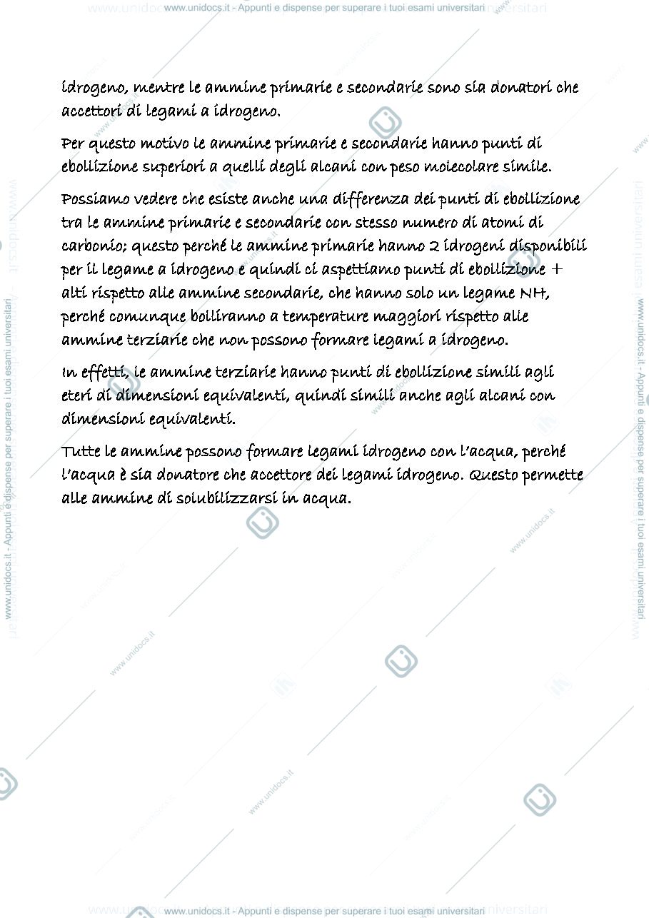 Anteprima pagina 3 — 20 a