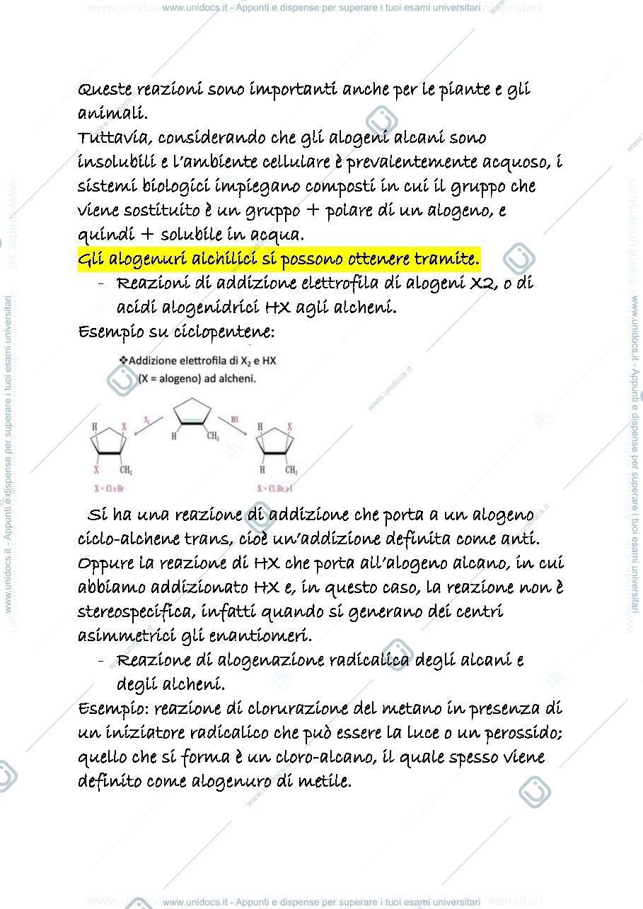 Anteprima pagina 3 — 13 a