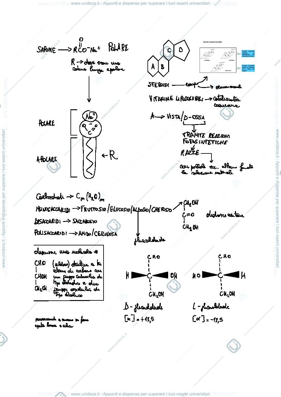 Anteprima pagina 2 — Polimeri organici 