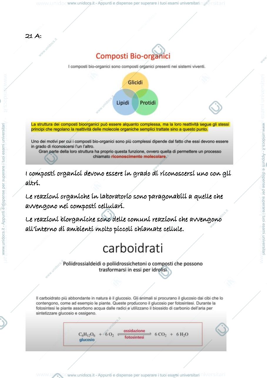 Anteprima pagina 1 — 21 a
