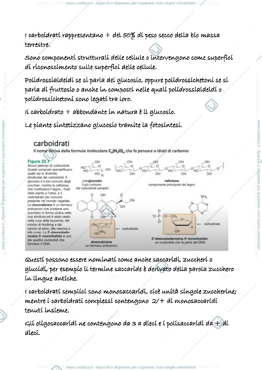 Anteprima pagina 2 — 21 a