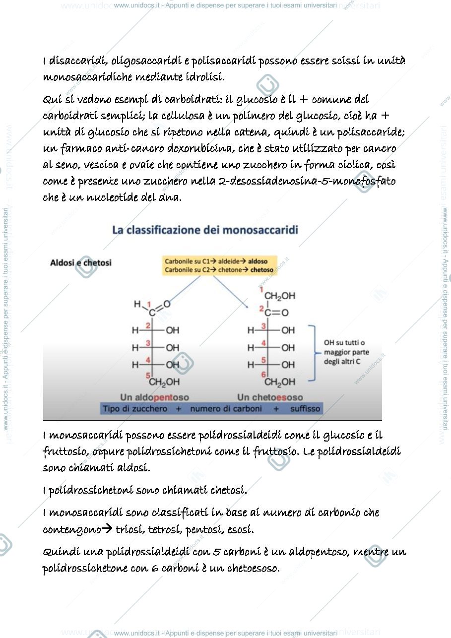 Anteprima pagina 3 — 21 a