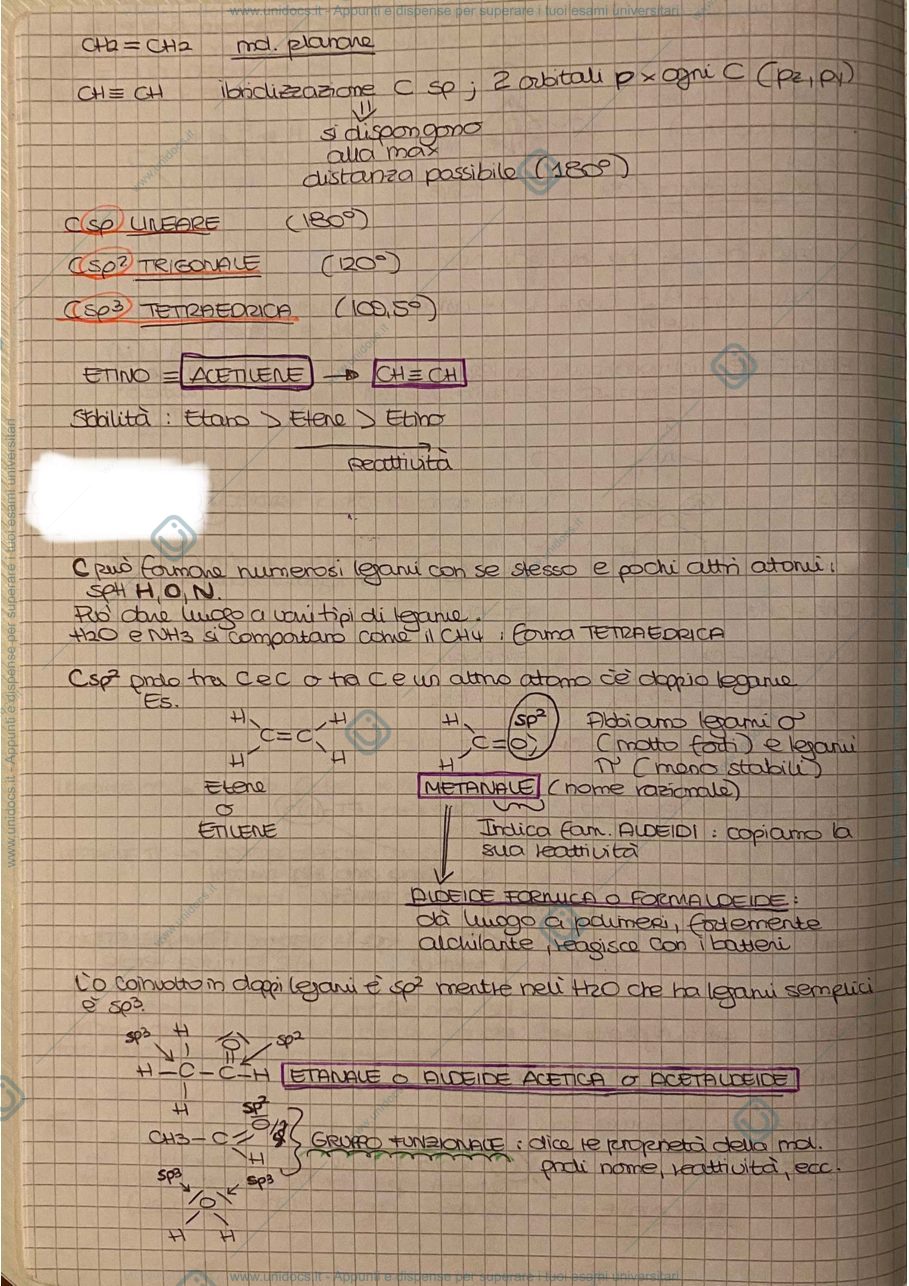Anteprima pagina 3 — Introduzione: strutture e nomenclatura