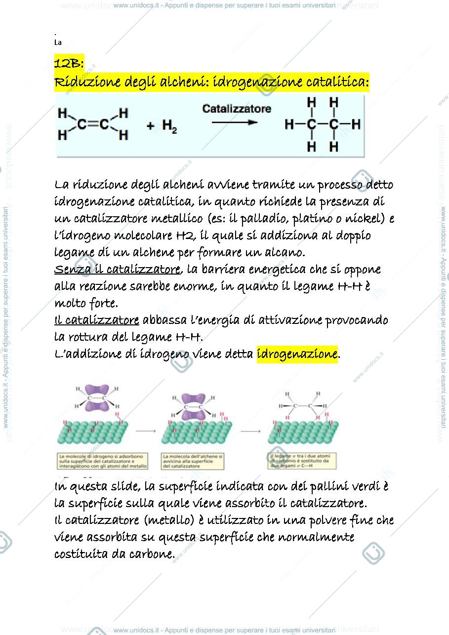 Anteprima pagina 1 — 11 d