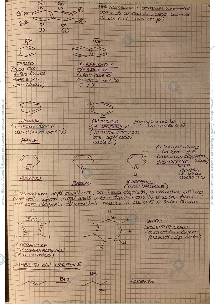 Anteprima pagina 2 — Idrocarburi Aromatici