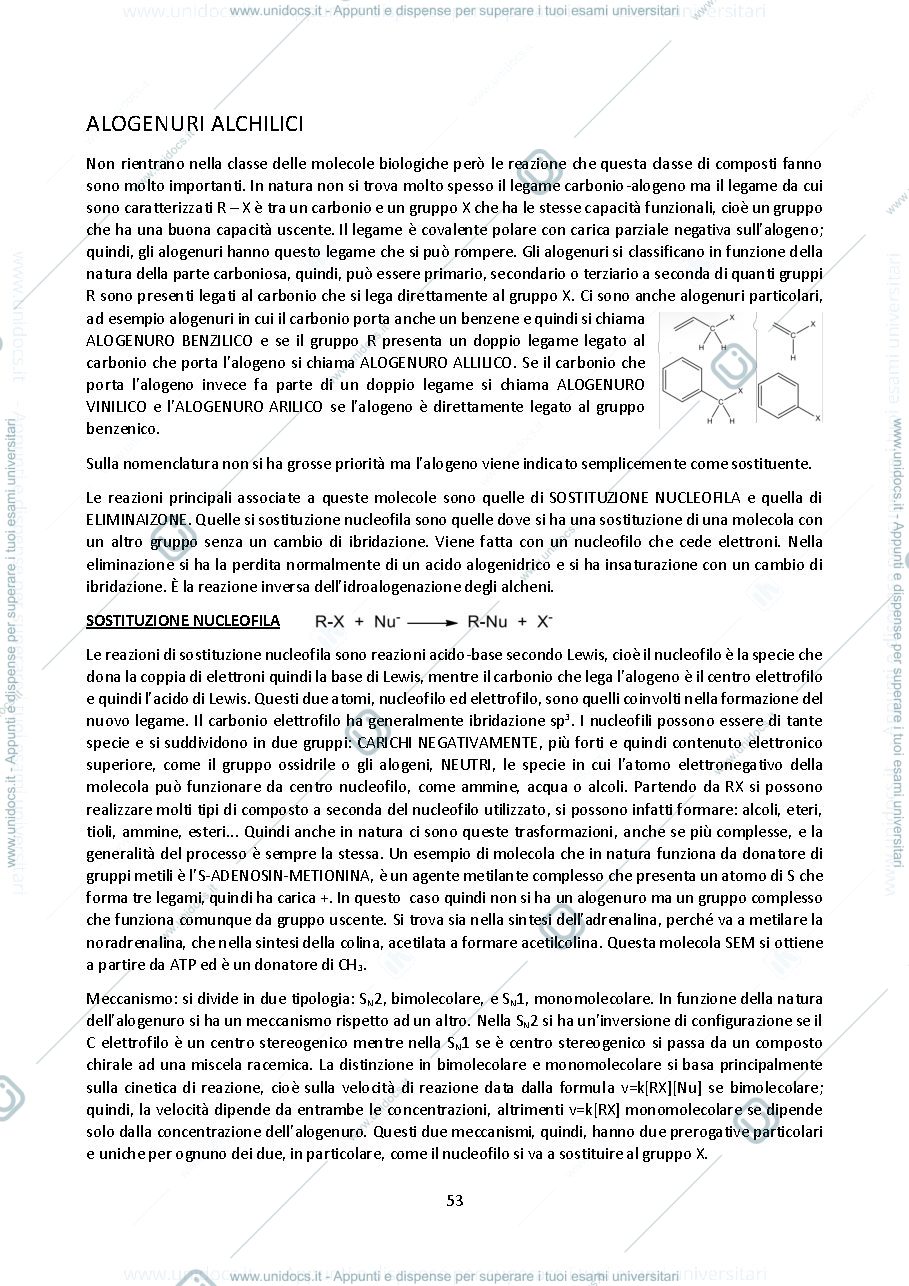 Anteprima pagina 1 — chimica organica