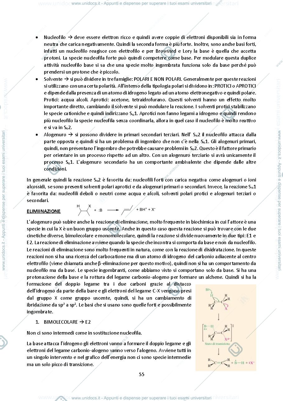 Anteprima pagina 3 — chimica organica