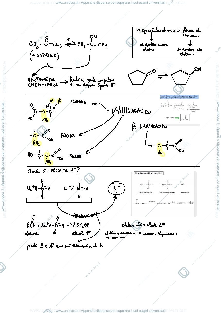 Anteprima pagina 1 — Anione enolato e esteri