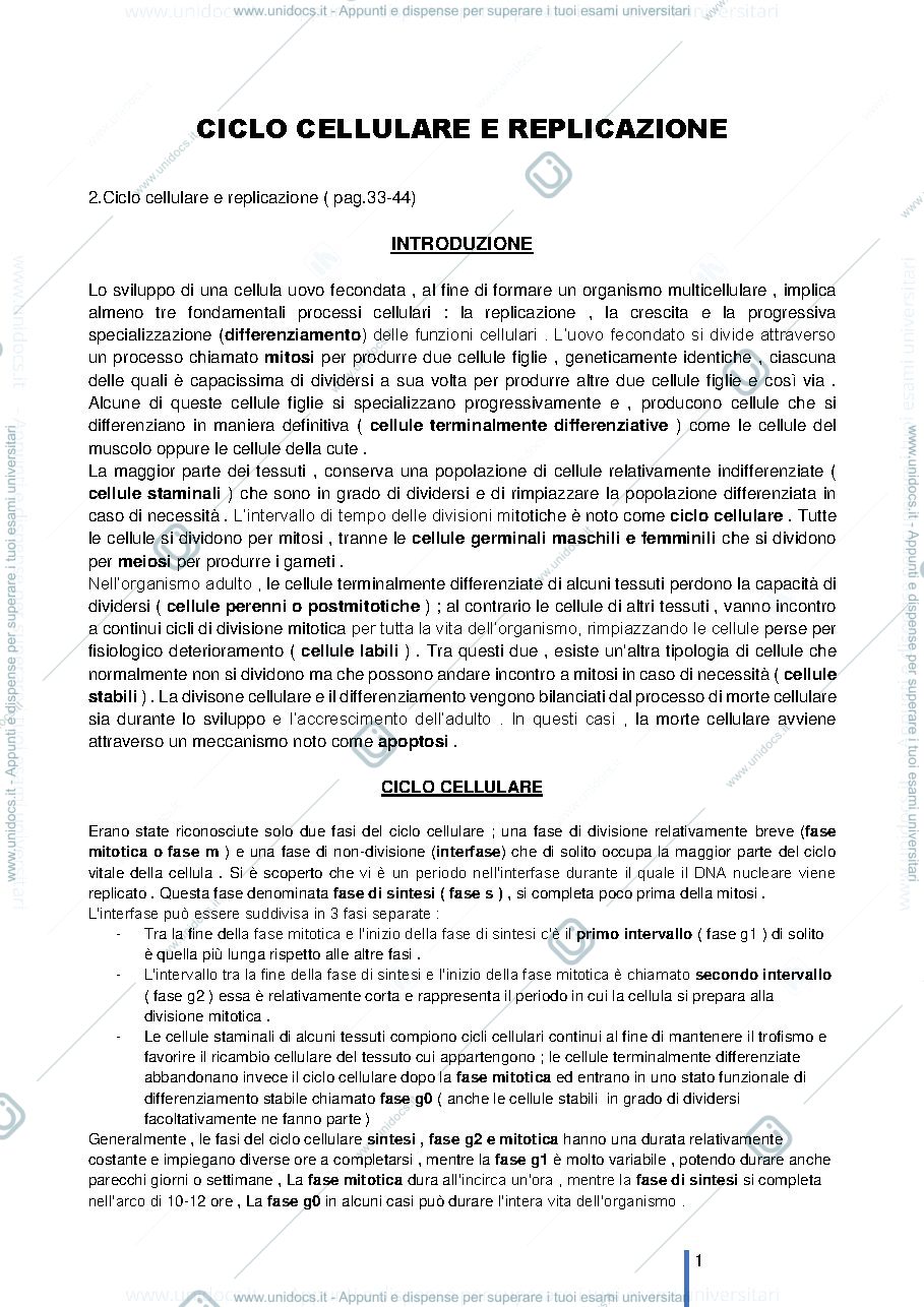 Anteprima pagina 1 — CICLO CELLULARE E REPLICAZIONE 