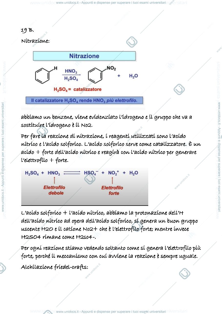 Anteprima pagina 1 — 19 b