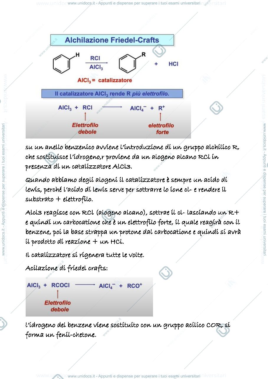 Anteprima pagina 2 — 19 b