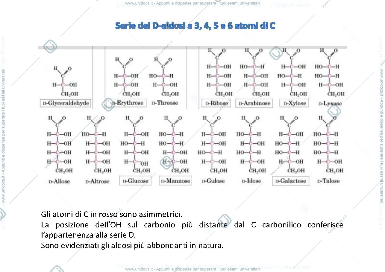 Anteprima pagina 3 — Carboidrati