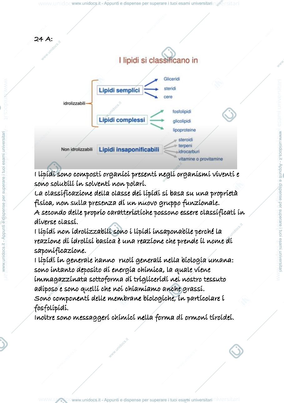 Anteprima pagina 1 — 24 a