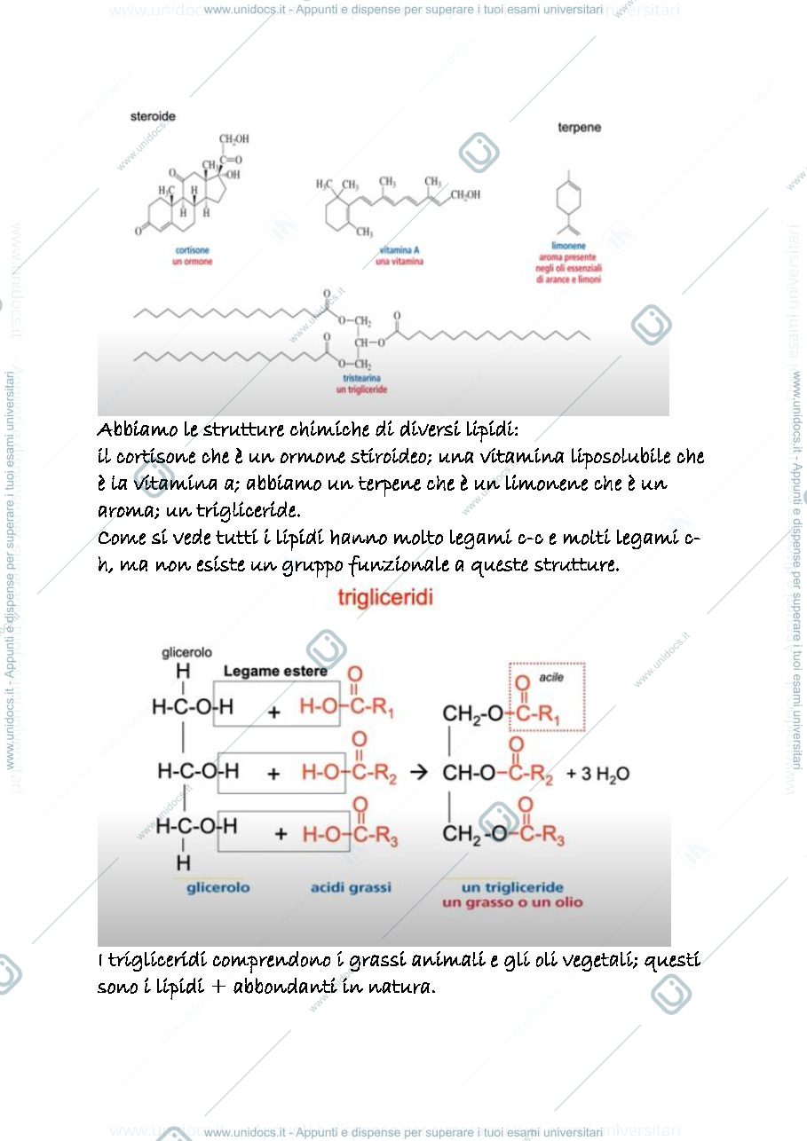 Anteprima pagina 2 — 24 a