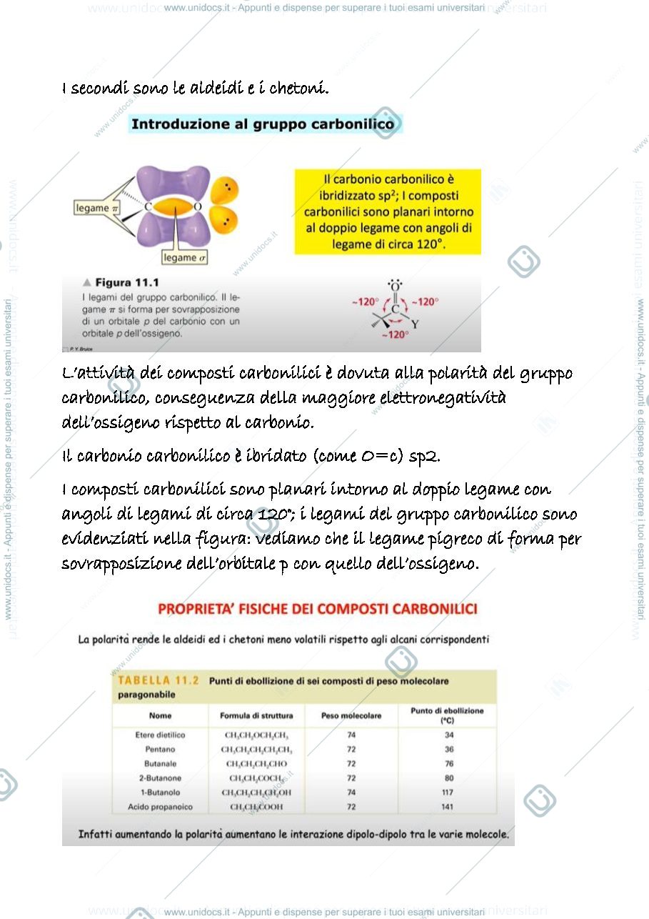 Anteprima pagina 2 — 16 a
