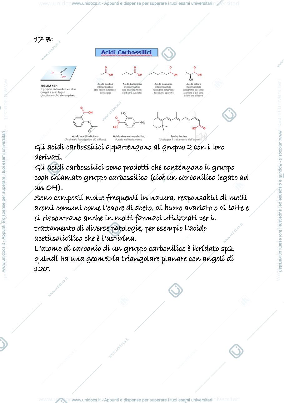 Anteprima pagina 1 — 17 b