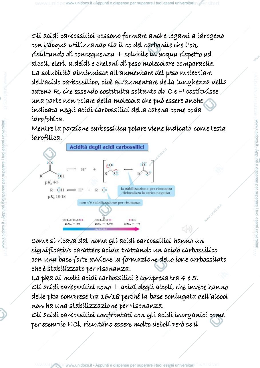Anteprima pagina 3 — 17 b