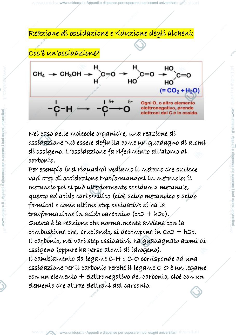 Anteprima pagina 1 — 11 c
