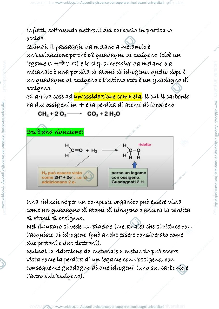 Anteprima pagina 2 — 11 c