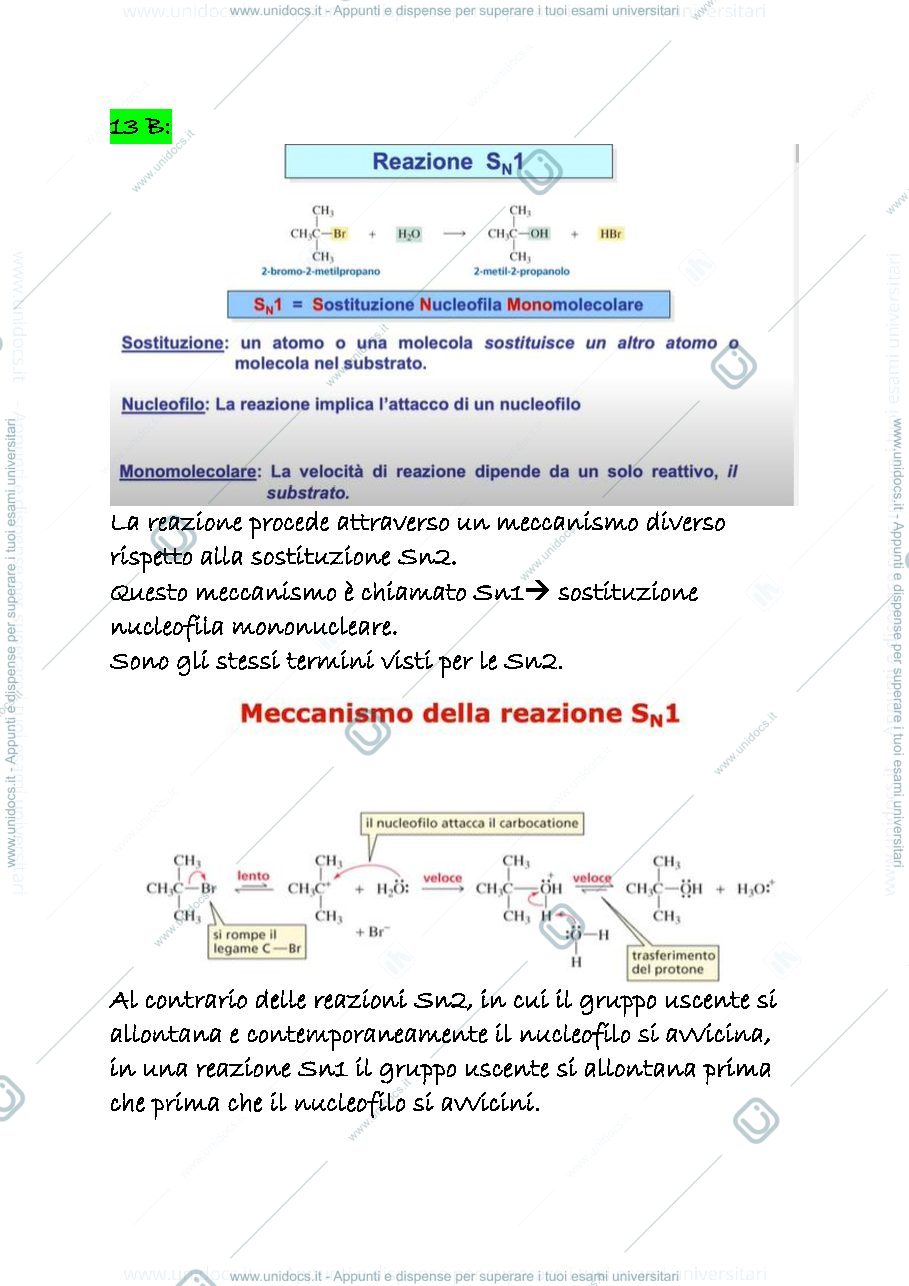 Anteprima pagina 1 — 13 b